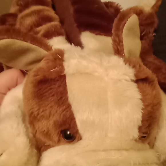 Cute dog slippers 🐕 - Picture 15 of 16